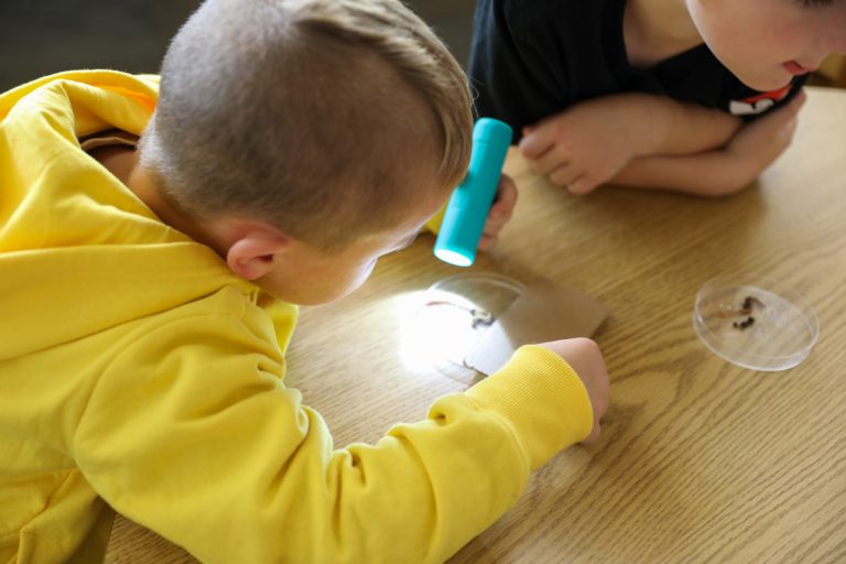 Two children examining a microscope on a table.