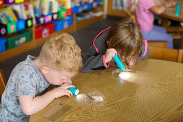 Elm Road Kindergarten Wiggly Worms