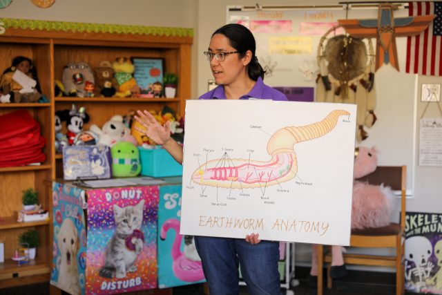 Elm Road Kindergarten Wiggly Worms Presentation